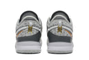 Nike LeBron NXXT Gen "Wolf Grey"